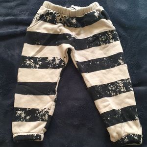 Quinn & Fox sweat pant bundle